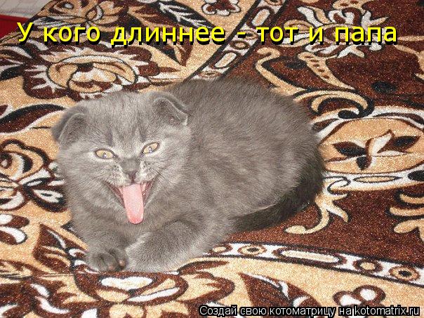 У кого длиннее - тот и папа У кого длиннее - тот и папа... Котоматрица: У кого длиннее - тот и папа У кого длиннее - тот и папа