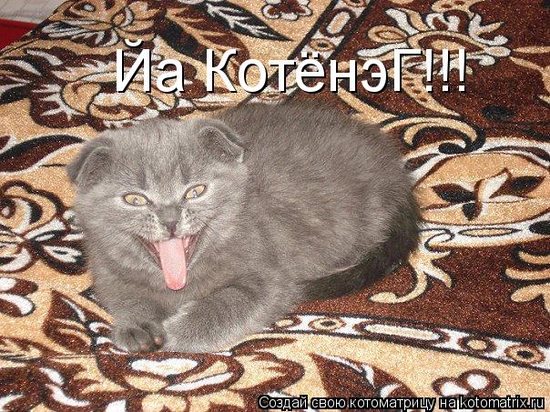 Йа КотёнэГ!!!... Котоматрица: Йа КотёнэГ!!!