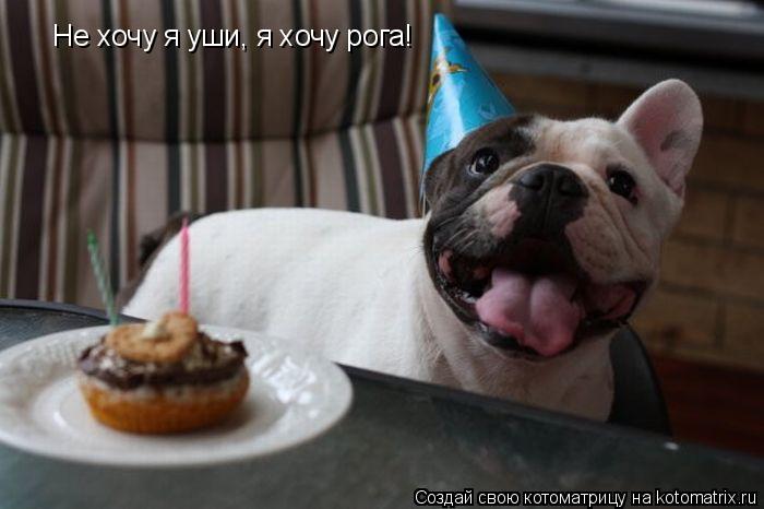 Не хочу я уши, я хочу рога!... Котоматрица: Не хочу я уши, я хочу рога!