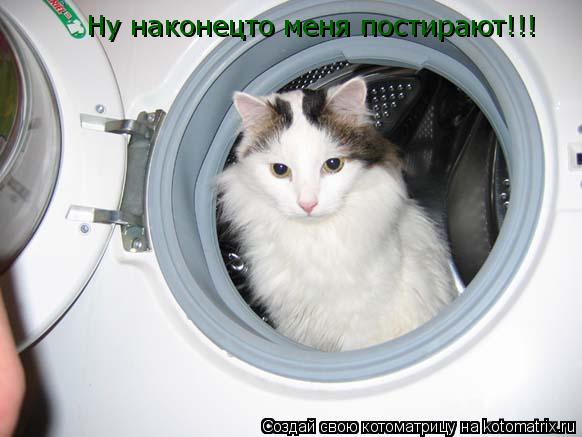Ну наконецто меня постирают!!!... Котоматрица: Ну наконецто меня постирают!!!