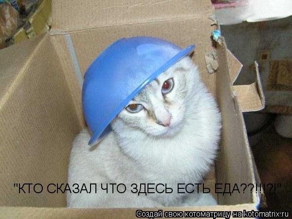 "КТО СКАЗАЛ ЧТО ЗДЕСЬ ЕСТЬ ЕДА??!!!?!"... Котоматрица: "КТО СКАЗАЛ ЧТО ЗДЕСЬ ЕСТЬ ЕДА??!!!?!"
