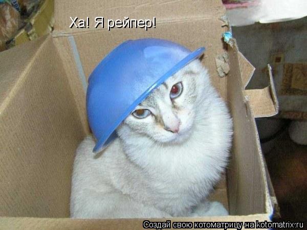 Ха! Я рейпер!... Котоматрица: Ха! Я рейпер!