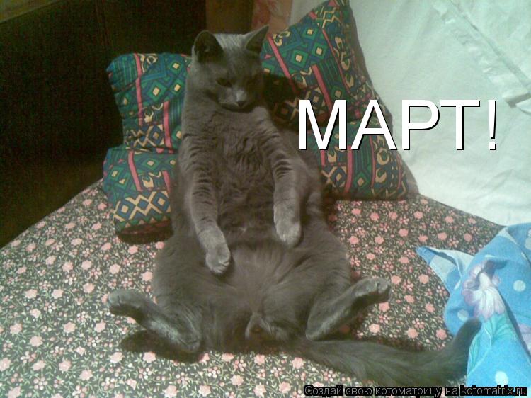 МАРТ!... Котоматрица: МАРТ!