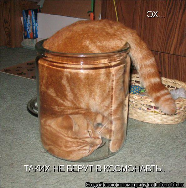 ЭХ... ТАКИХ НЕ БЕРУТ В КОСМОНАВТЫ...... Котоматрица: ЭХ... ТАКИХ НЕ БЕРУТ В КОСМОНАВТЫ...