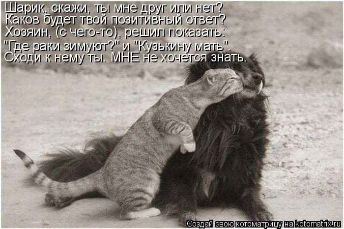 Шарик, скажи, ты мне друг или нет? Каков будет твой позитивный ответ? Хозяин, (с чего-то), решил пока... Котоматрица: Шарик, скажи, ты мне друг или нет? Каков будет твой позитивный ответ? Хозяин, (с чего-то), решил показать: "Где раки зимуют?" и "Кузькину мать". Сх