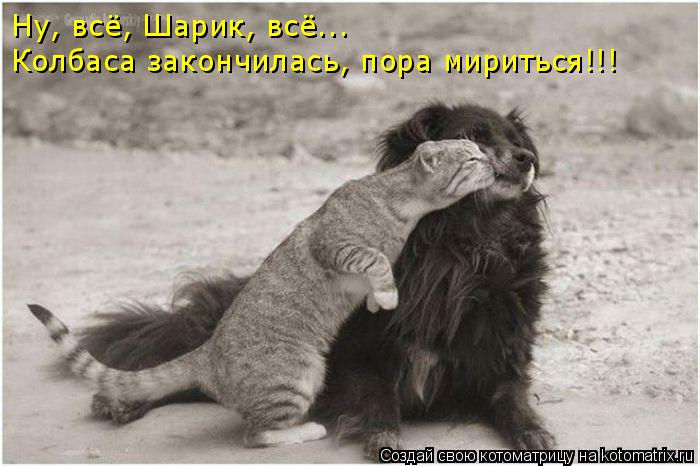 Ну, всё, Шарик, всё... Колбаса закончилась, пора мириться!!!... Котоматрица: Ну, всё, Шарик, всё... Колбаса закончилась, пора мириться!!!