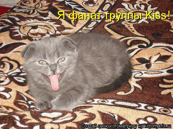 Я фанат группы Kiss!... Котоматрица: Я фанат группы Kiss!