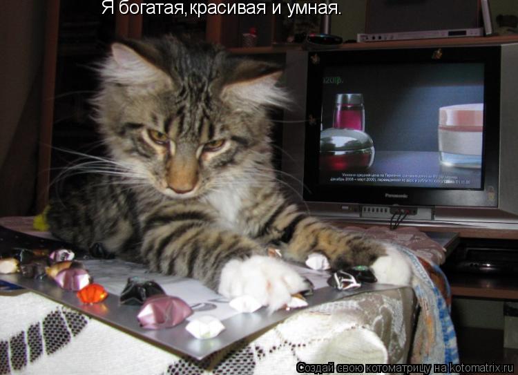 Я богатая,красивая и умная.... Котоматрица: Я богатая,красивая и умная.