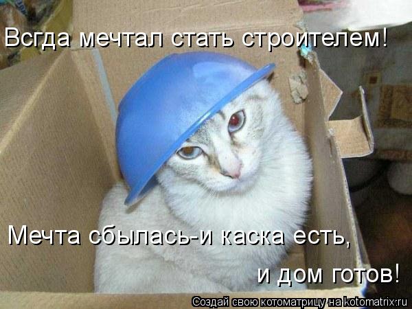 Всгда мечтал стать строителем! Мечта сбылась-и каска есть, и дом готов!... Котоматрица: Всгда мечтал стать строителем! Мечта сбылась-и каска есть, и дом готов!