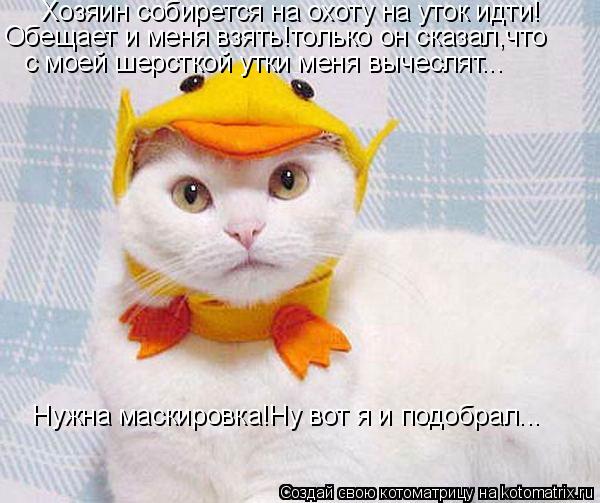 Обещает и меня взять!только он сказал,что Нужна маскировка!Ну вот я и подобрал... с моей шерсткой ут... Котоматрица: Обещает и меня взять!только он сказал,что Нужна маскировка!Ну вот я и подобрал... с моей шерсткой утки меня вычеслят... Хозяин собирется на ох