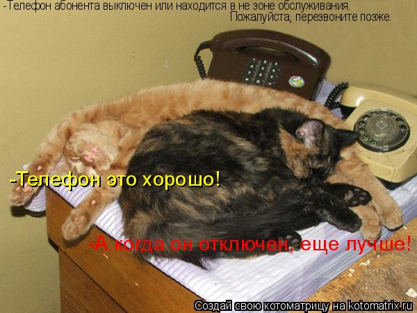 -Телефон абонента выключен или находится в не зоне обслуживания. Пожалуйста, перезвоните позже. -Теле... Котоматрица: -Телефон абонента выключен или находится в не зоне обслуживания. Пожалуйста, перезвоните позже. -Телефон это хорошо! -А когда он отключен, ещ