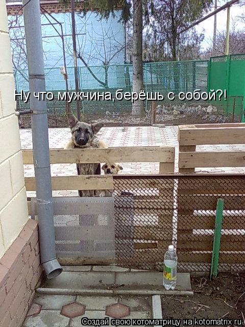 Ну что мужчина,берёшь с собой?!... Котоматрица: Ну что мужчина,берёшь с собой?!