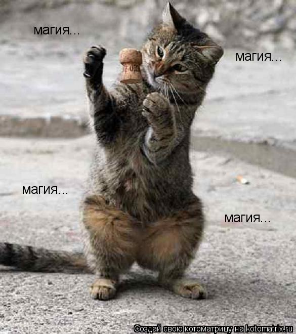 магия... магия... магия... магия...... Котоматрица: магия... магия... магия... магия...