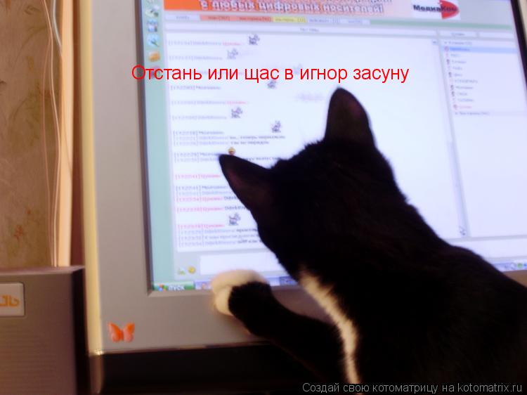 Отстань или щас в игнор засуну... Котоматрица: Отстань или щас в игнор засуну