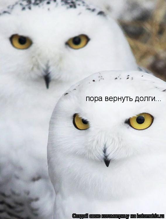 пора вернуть долги...... Котоматрица: пора вернуть долги...