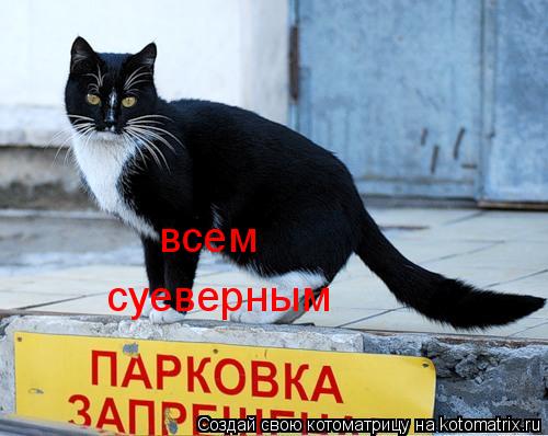 всем суеверным... Котоматрица: всем суеверным