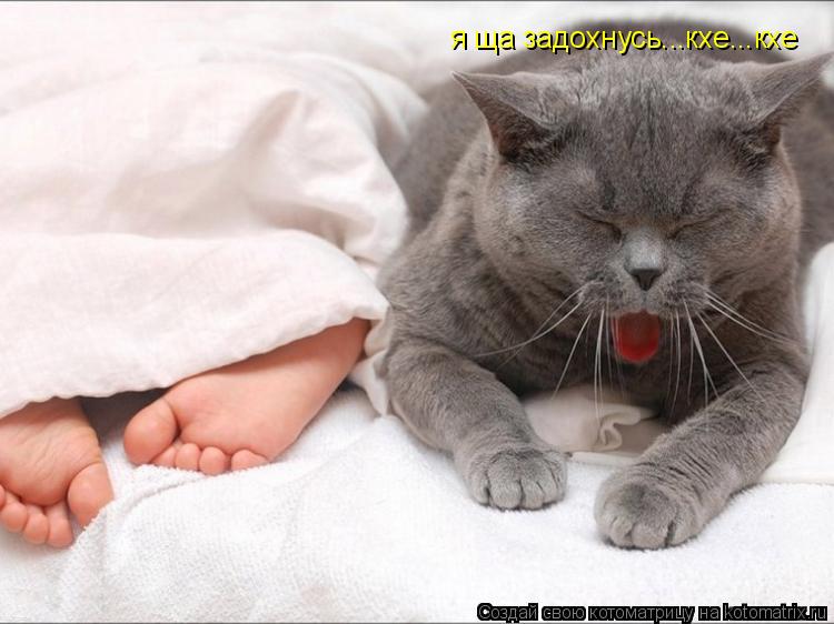 я ща задохнусь...кхе...кхе... Котоматрица: я ща задохнусь...кхе...кхе