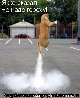 Котоматрица: Я же сказал Не надо гороху!