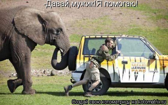 -Давай,мужик!Я помогаю!... Котоматрица: -Давай,мужик!Я помогаю!