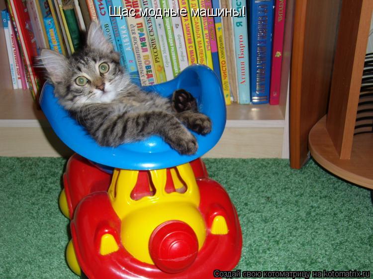 Щас модные машины!... Котоматрица: Щас модные машины!