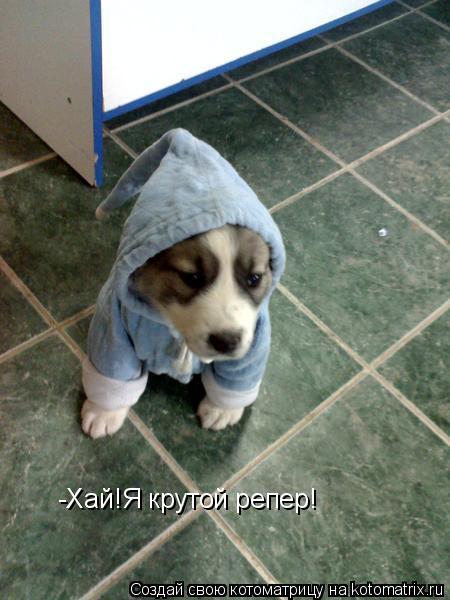 -Хай!Я крутой репер!... Котоматрица: -Хай!Я крутой репер!