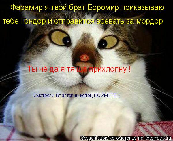 Фарамир я твой брат Боромир приказываю тебе Гондор и отправится воевать за мордор Ты чё да я тя ща ... Котоматрица: Фарамир я твой брат Боромир приказываю тебе Гондор и отправится воевать за мордор Ты чё да я тя ща прихлопну ! Смотрели Властелин колец ПОЙ