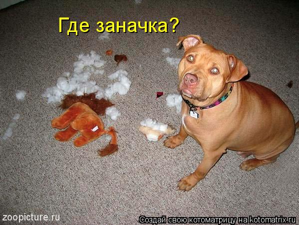Котоматрица: Где заначка?