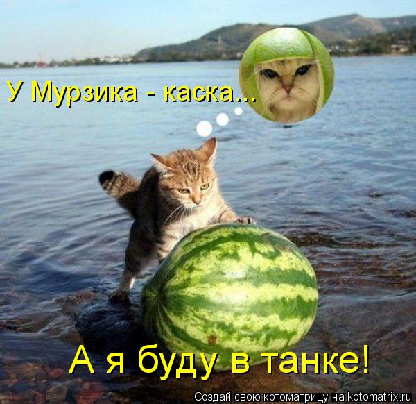 У Мурзика - каска... А я буду в танке!... Котоматрица: У Мурзика - каска... А я буду в танке!