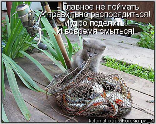 Котоматрица: - Главное не поймать, А правильно распорядиться! Мудро поделить! И вовремя смыться!
