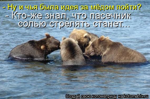 - Ну и чья была идея за мёдом пойти? - Кто-же знал, что пасечник солью стрелять станет...... Котоматрица: - Ну и чья была идея за мёдом пойти? - Кто-же знал, что пасечник солью стрелять станет...