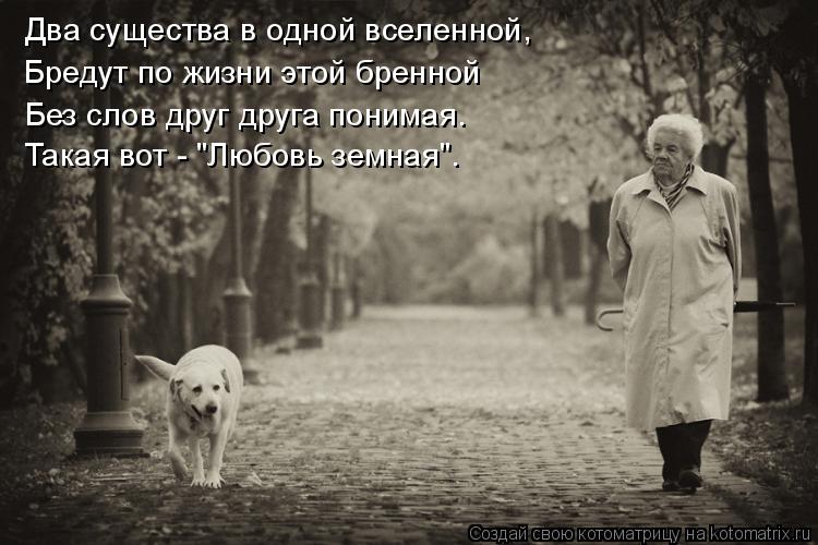 Два существа в одной вселенной, Бредут по жизни этой бренной Без слов друг друга понимая. Такая вот -... Котоматрица: Два существа в одной вселенной, Бредут по жизни этой бренной Без слов друг друга понимая. Такая вот - "Любовь земная".