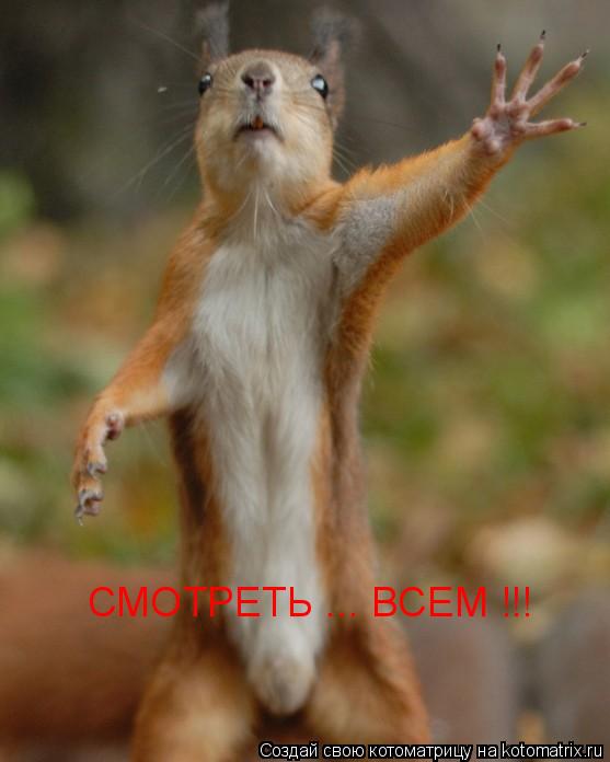 Котоматрица: СМОТРЕТЬ ... ВСЕМ !!!