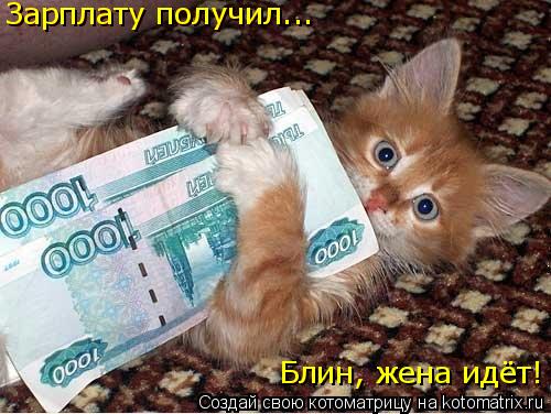 Котоматрица: Зарплату получил... Зарплату получил... Блин, жена идёт! Зарплату получил...