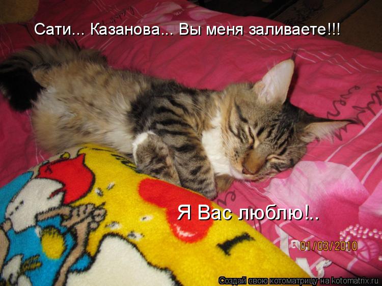 Котоматрица: Сати... Казанова... Вы меня заливаете!!! Я Вас люблю!..