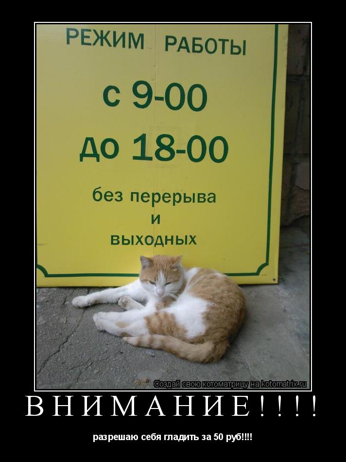 Котоматрица: ВНИМАНИЕ!!!! разрешаю себя гладить за 50 руб!!!!
