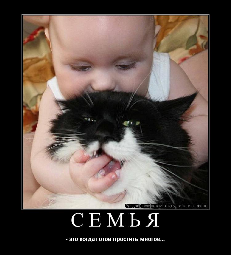 СЕМЬЯ - это когда готов простить многое...... Котоматрица: СЕМЬЯ - это когда готов простить многое...