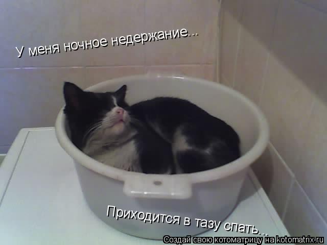 У меня ночное недержание... Приходится в тазу спать...... Котоматрица: У меня ночное недержание... Приходится в тазу спать...