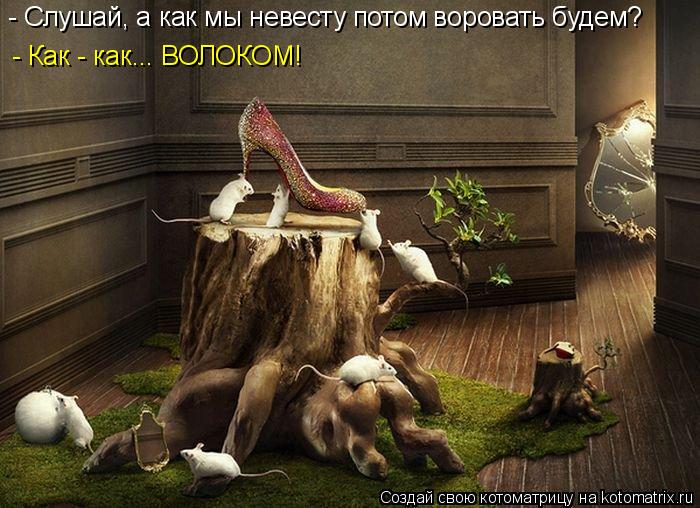 - Слушай, а как мы невесту потом воровать будем? - Как - как... ВОЛОКОМ!... Котоматрица: - Слушай, а как мы невесту потом воровать будем? - Как - как... ВОЛОКОМ!