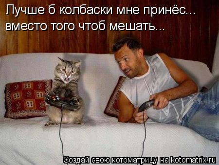 Лучше б колбаски мне принёс... вместо того чтоб мешать...... Котоматрица: Лучше б колбаски мне принёс... вместо того чтоб мешать...