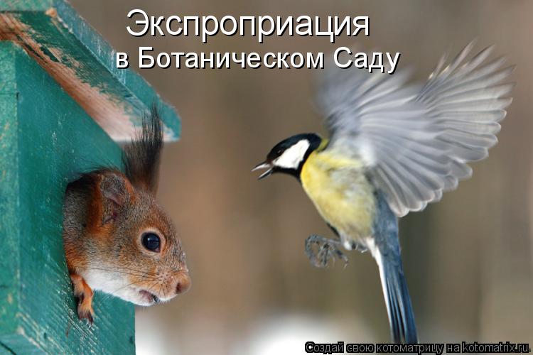 в Ботаническом Саду Экспроприация... Котоматрица: в Ботаническом Саду Экспроприация