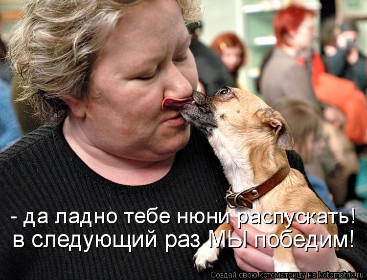 - да ладно тебе нюни распускать! в следующий раз МЫ победим!... Котоматрица: - да ладно тебе нюни распускать! в следующий раз МЫ победим!