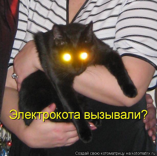 Электрокота вызывали?... Котоматрица: Электрокота вызывали?