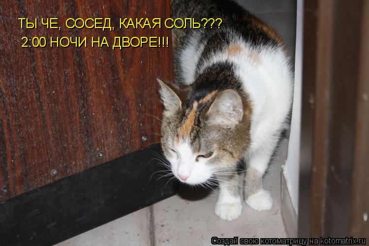 ТЫ ЧЕ, СОСЕД, КАКАЯ СОЛЬ??? 2:00 НОЧИ НА ДВОРЕ!!!... Котоматрица: ТЫ ЧЕ, СОСЕД, КАКАЯ СОЛЬ??? 2:00 НОЧИ НА ДВОРЕ!!!