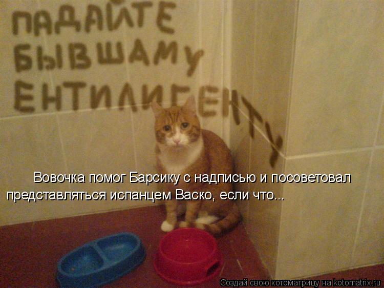 Котоматрица: Вовочка помог Барсику с надписью и посоветовал представляться испанцем Васко, если что...