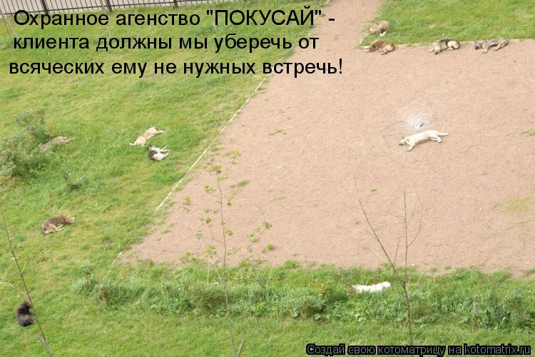Охранное агенство "ПОКУСАЙ" - клиента должны мы уберечь от всяческих ему не нужных встречь!... Котоматрица: Охранное агенство "ПОКУСАЙ" - клиента должны мы уберечь от всяческих ему не нужных встречь!