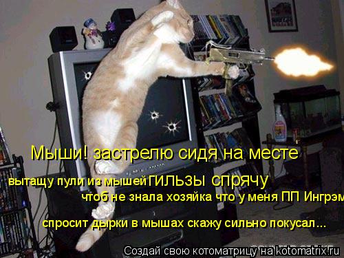 Мыши! застрелю сидя на месте гильзы спрячу чтоб не знала хозяйка что у меня ПП Ингрэм вытащу пули из... Котоматрица: Мыши! застрелю сидя на месте гильзы спрячу чтоб не знала хозяйка что у меня ПП Ингрэм вытащу пули из мышей спросит дырки в мышах скажу сильн