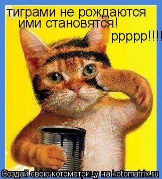 Котоматрица: тиграми не рождаются ими становятся! ррррр!!!!!!!!!!!!!!!