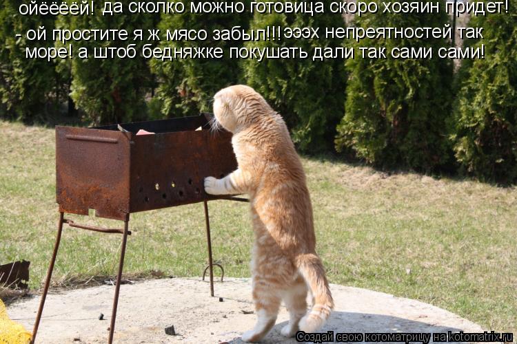 Котоматрица: ойёёёёй! да сколко можно готовица скоро хозяин придет! - ой простите я ж мясо забыл!!!  эээх непреятностей так море! а штоб бедняжке покушать д