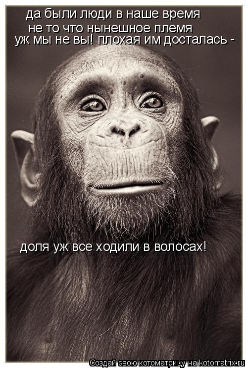 Котоматрица: да были люди в наше время не то что нынешное племя уж мы не вы! плохая им досталась доля уж все ходили в волосах! -