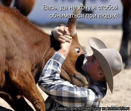 Котоматрица: Вась, да не хочу я стобой обниматься при людях!!!